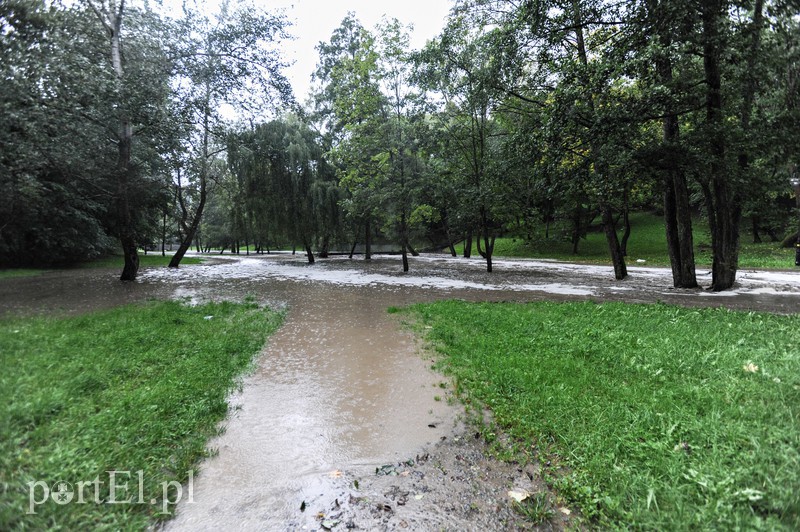 Elbląg i region walczy z ulewą. Najgorzej jest na Związku Jaszczurczego zdjęcie nr 160820