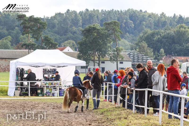 Pony Cup 2017 za nami zdjęcie nr 160920