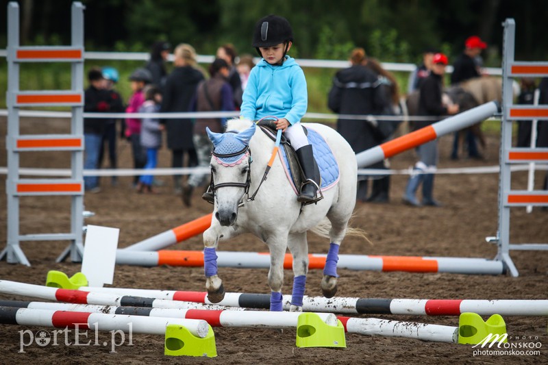 Pony Cup 2017 za nami zdjęcie nr 160914