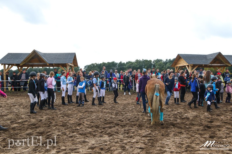 Pony Cup 2017 za nami zdjęcie nr 160936