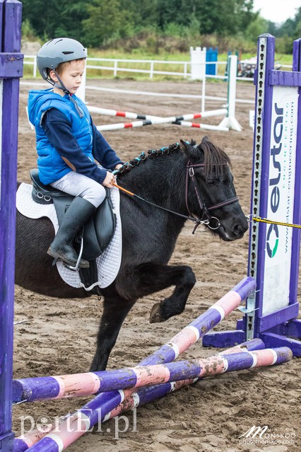 Pony Cup 2017 za nami zdjęcie nr 160911