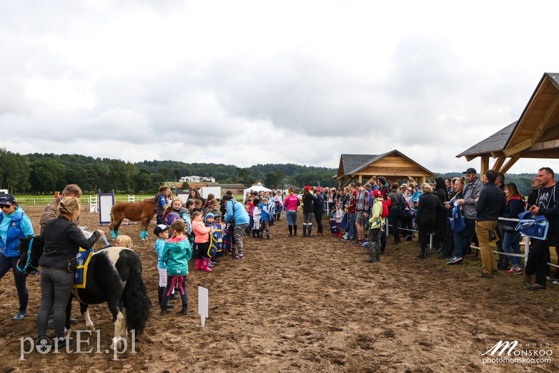 Pony Cup 2017 za nami zdjęcie nr 160934