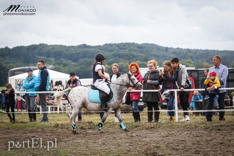 Pony Cup 2017 za nami zdjęcie nr 160926