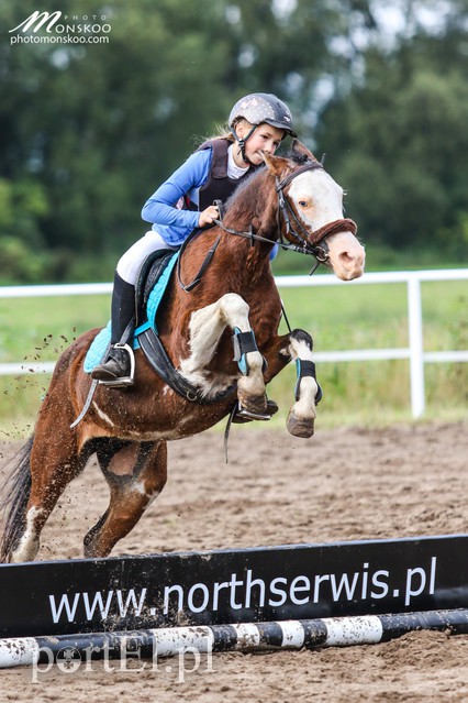 Pony Cup 2017 za nami zdjęcie nr 160923