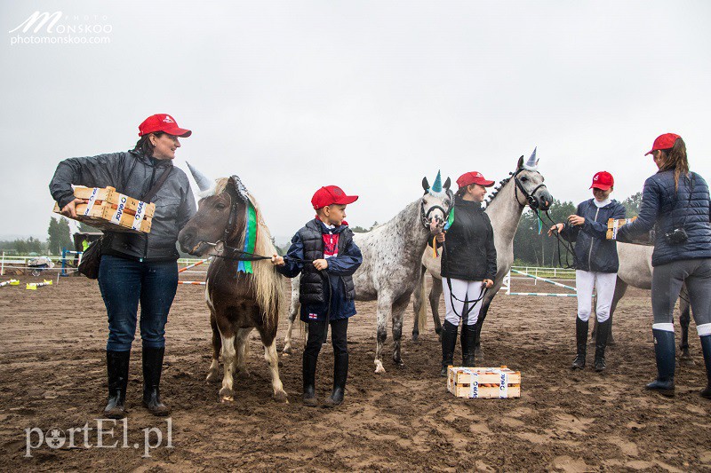 Pony Cup 2017 za nami zdjęcie nr 160908