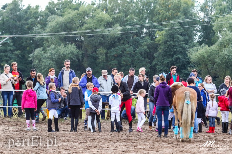 Pony Cup 2017 za nami zdjęcie nr 160929