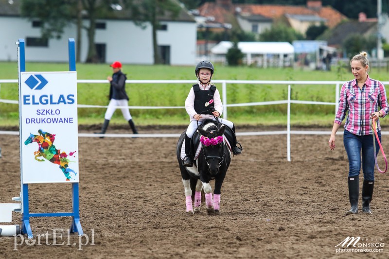 Pony Cup 2017 za nami zdjęcie nr 160916