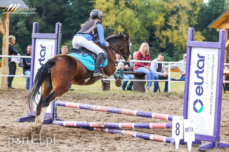 Pony Cup 2017 za nami zdjęcie nr 160925