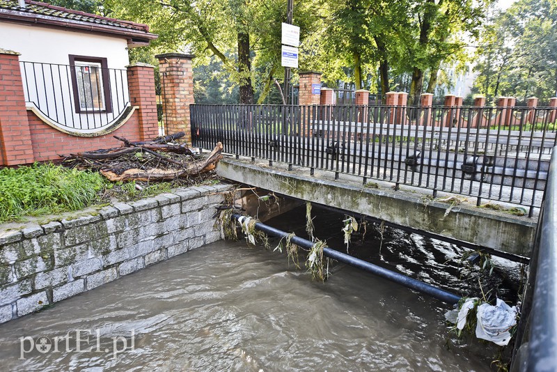 Krajobraz po powodzi zdjęcie nr 160939