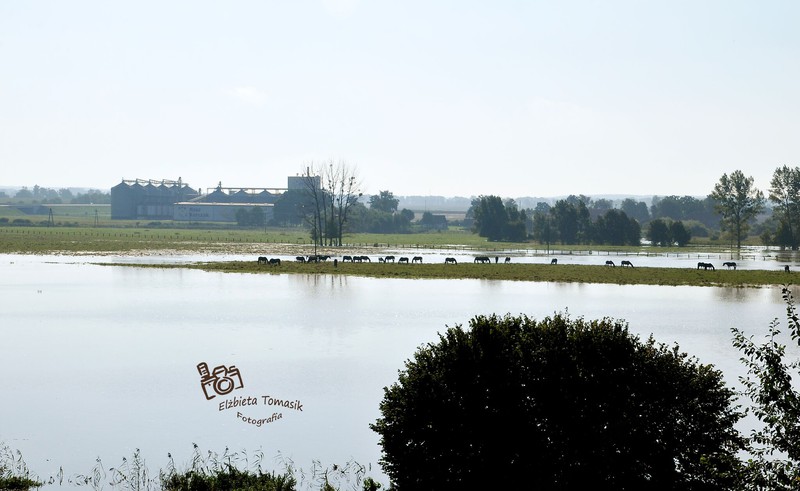 Ratowali Rzeczną przed zalaniem zdjęcie nr 160998