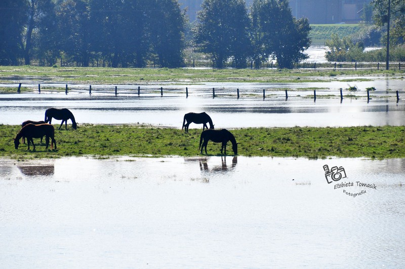 Ratowali Rzeczną przed zalaniem zdjęcie nr 160994