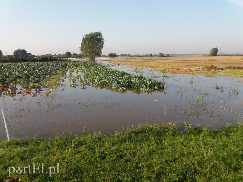 Ulewa nie oszczędziła terenów wiejskich zdjęcie nr 161087