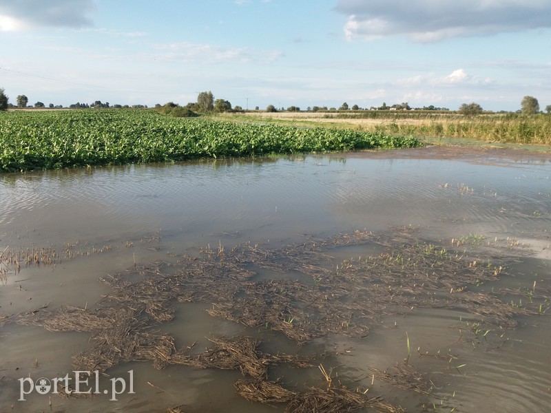 Ulewa nie oszczędziła terenów wiejskich zdjęcie nr 161090