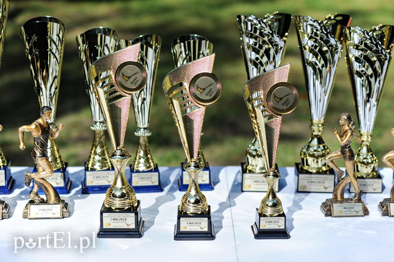 Gonili „Bażanta” po mistrzowsku zdjęcie nr 161249