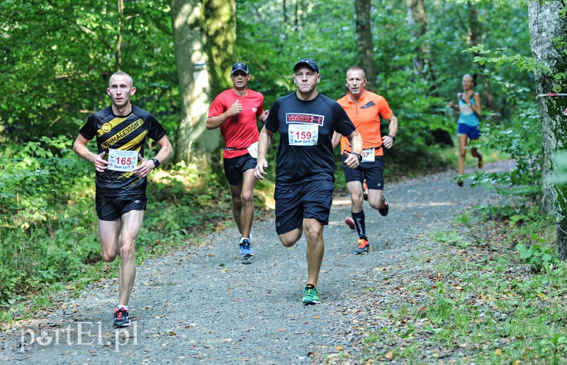 Gonili „Bażanta” po mistrzowsku zdjęcie nr 161213