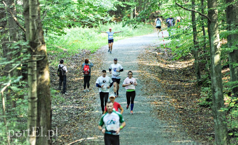 Gonili „Bażanta” po mistrzowsku zdjęcie nr 161218