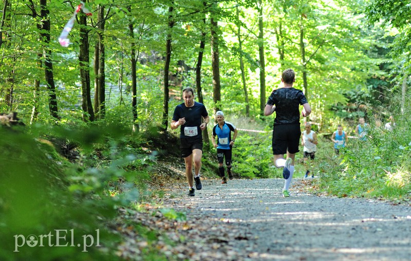 Gonili „Bażanta” po mistrzowsku zdjęcie nr 161224