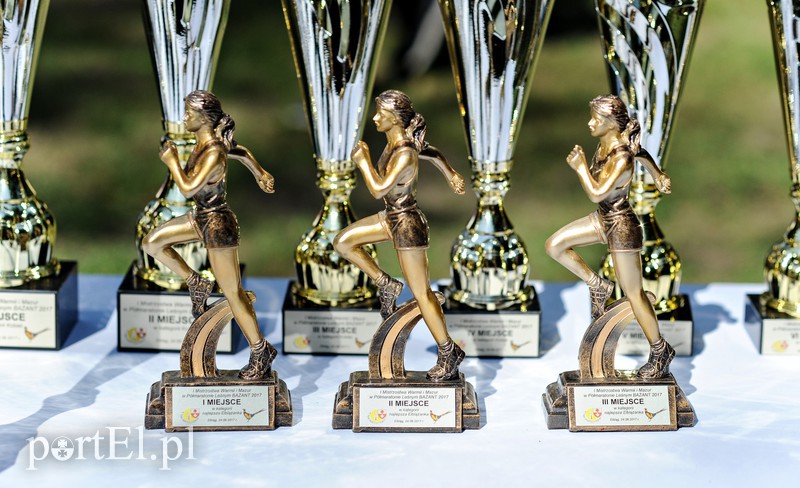 Gonili „Bażanta” po mistrzowsku zdjęcie nr 161248