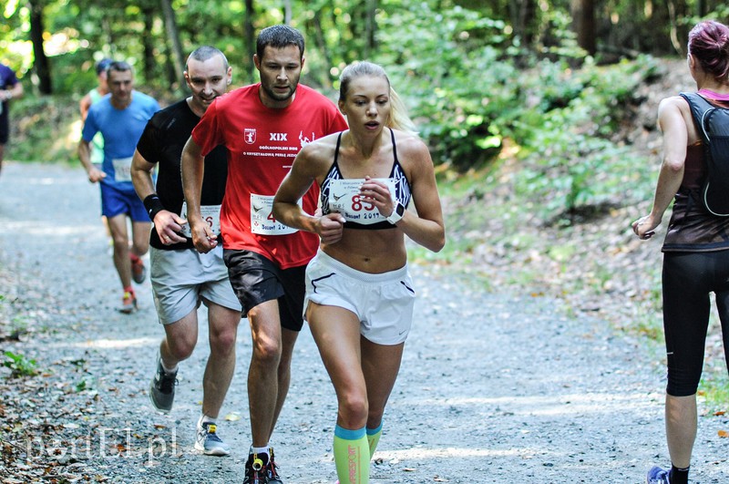 Gonili „Bażanta” po mistrzowsku zdjęcie nr 161235