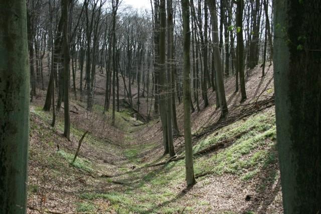 Zielonym szlakiem zdjęcie nr 12601