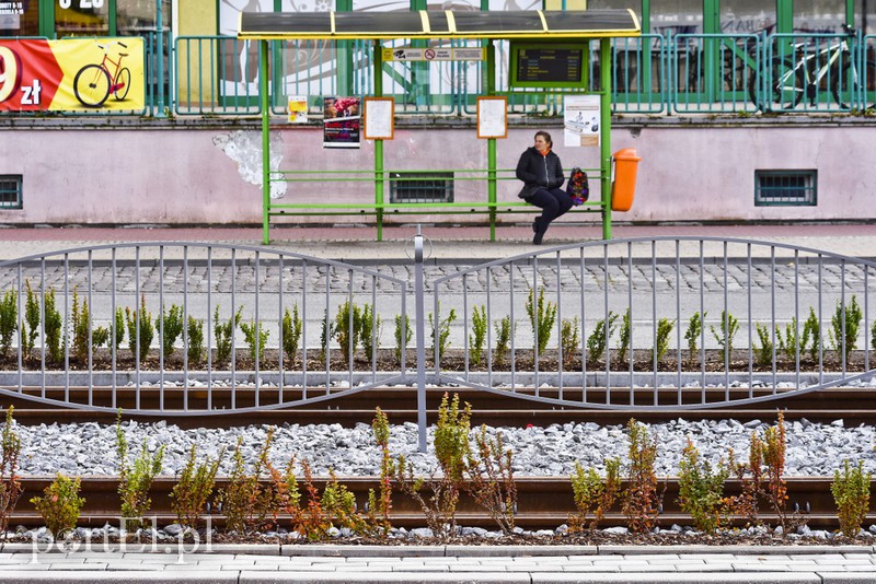 Tramwaje ruszyły po nowych torach zdjęcie nr 161837