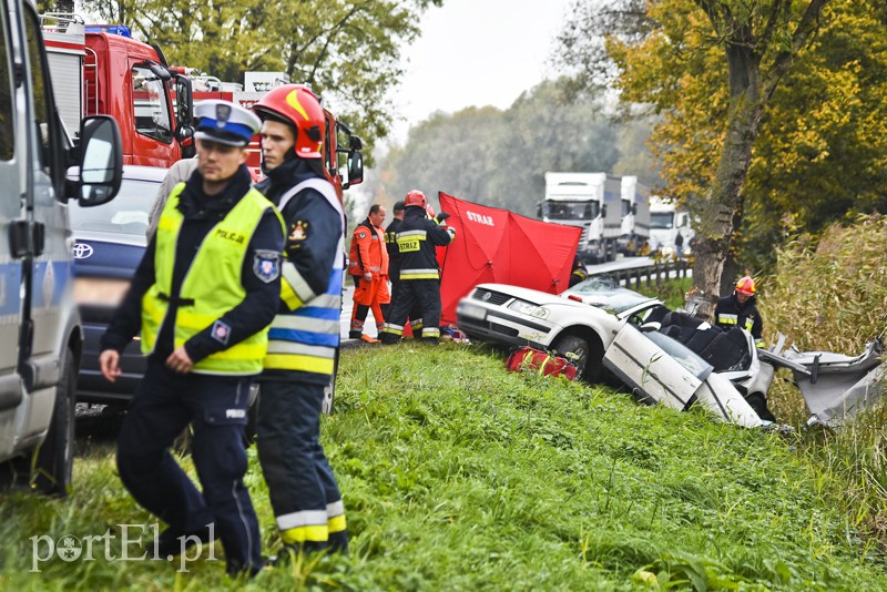 Uderzył w drzewo, jedna osoba nie żyje zdjęcie nr 162360