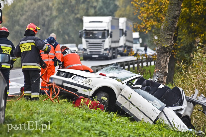 Uderzył w drzewo, jedna osoba nie żyje zdjęcie nr 162356