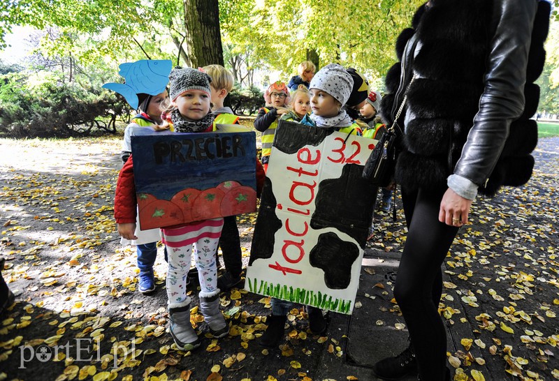  O żywności na wesoło zdjęcie nr 162680