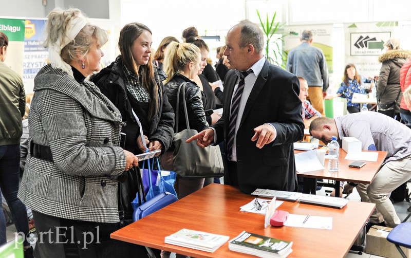 W poszukiwaniu pracy zdjęcie nr 162758