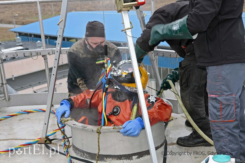 FROG pracuje pod wodą zdjęcie nr 162830