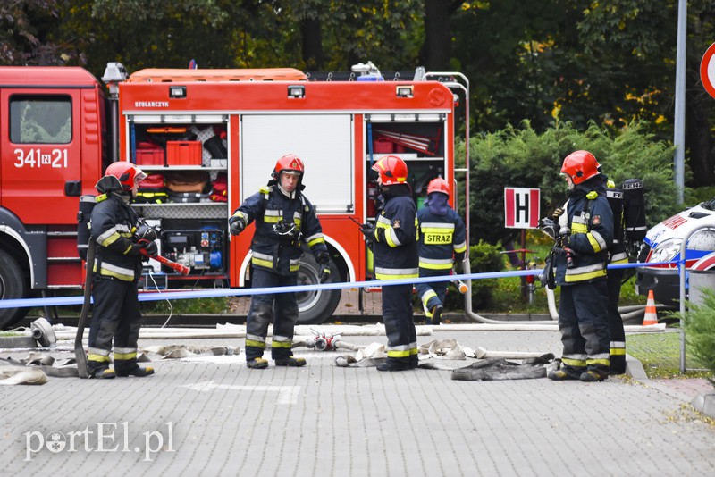 Terroryści? Jesteśmy gotowi zdjęcie nr 163030