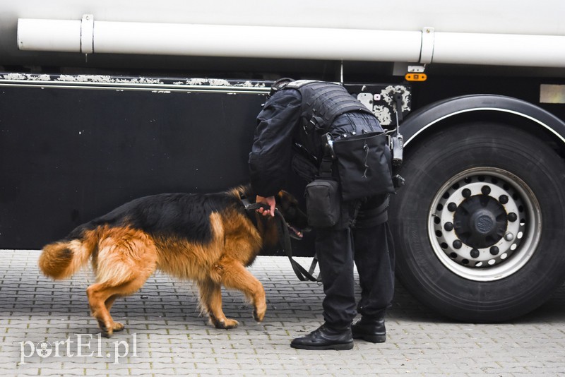 Terroryści? Jesteśmy gotowi zdjęcie nr 163031