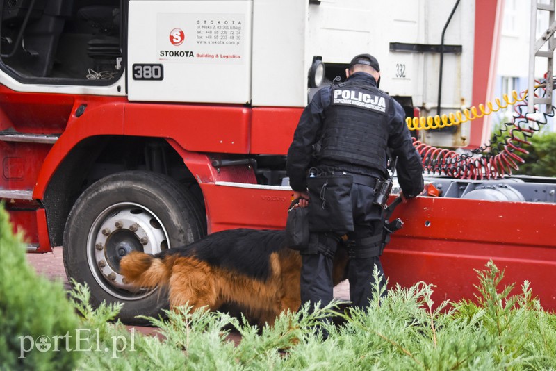 Terroryści? Jesteśmy gotowi zdjęcie nr 163029