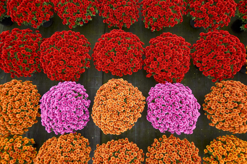 To one podkreślą te dni zdjęcie nr 163395