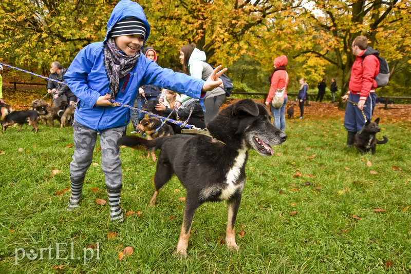 Biegli pod dom dla Radka zdjęcie nr 163520