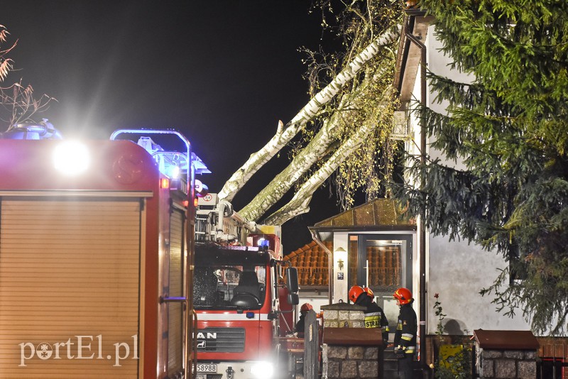 Drzewo przewróciło się na dom zdjęcie nr 163598