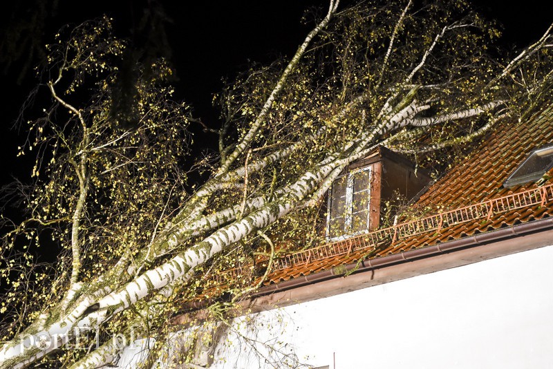 Drzewo przewróciło się na dom zdjęcie nr 163593