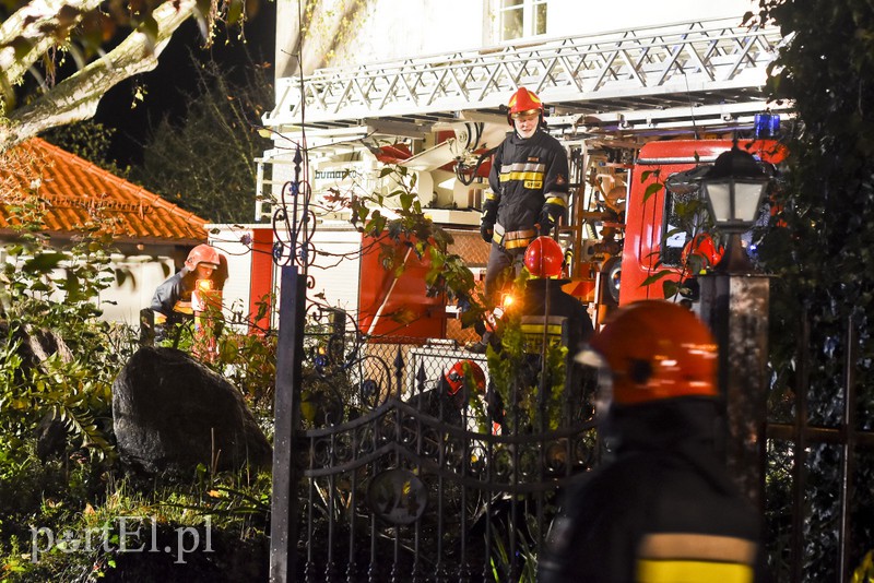 Drzewo przewróciło się na dom zdjęcie nr 163599