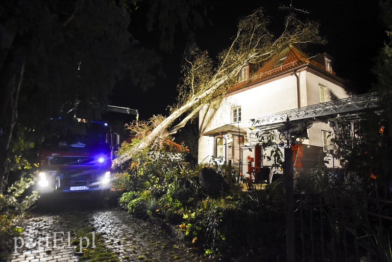 Drzewo przewróciło się na dom zdjęcie nr 163592