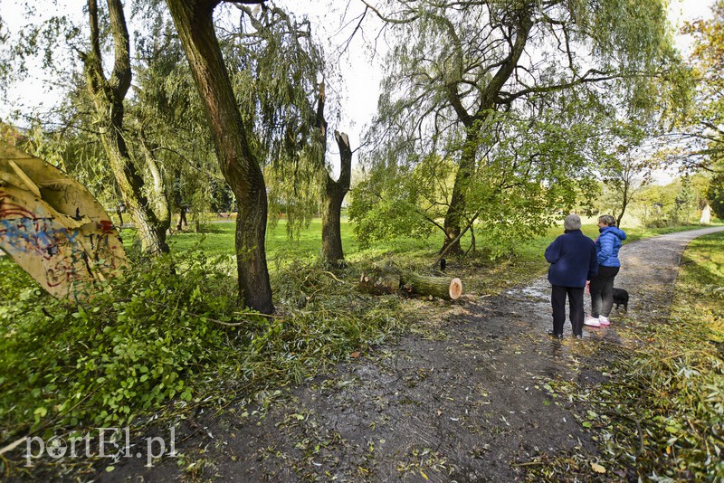 Połamane drzewa w parku Kajki zdjęcie nr 163655