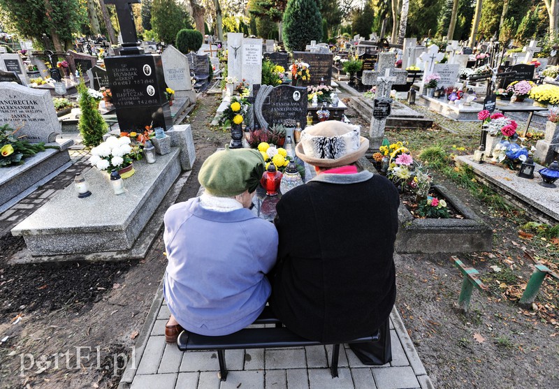 Cmentarz Agrykola, 31.10.2017 zdjęcie nr 163743