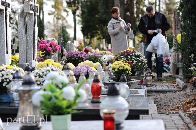 Cmentarz Agrykola, 31.10.2017 zdjęcie nr 163738