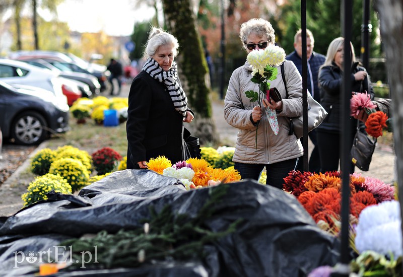 Cmentarz Agrykola, 31.10.2017 zdjęcie nr 163733