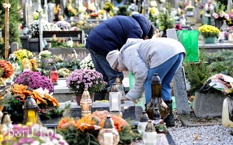 Cmentarz Agrykola, 31.10.2017 zdjęcie nr 163736