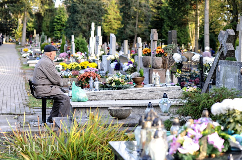 Cmentarz Agrykola, 31.10.2017 zdjęcie nr 163753