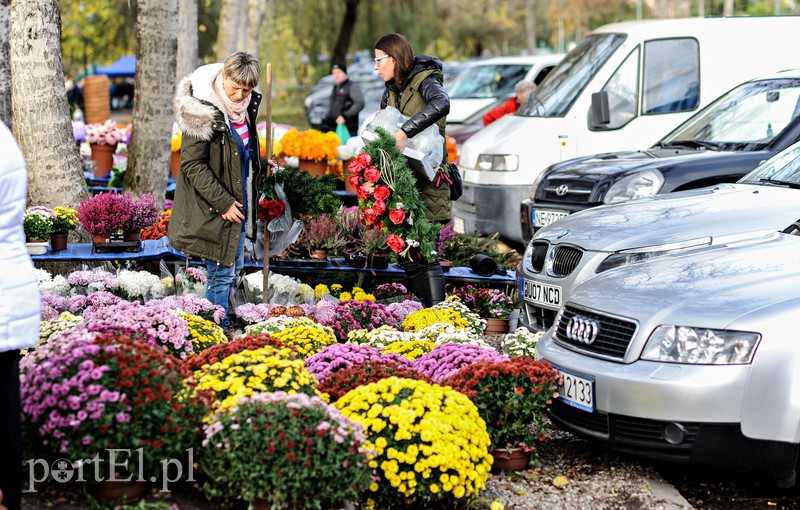 Cmentarz Agrykola, 31.10.2017 zdjęcie nr 163731