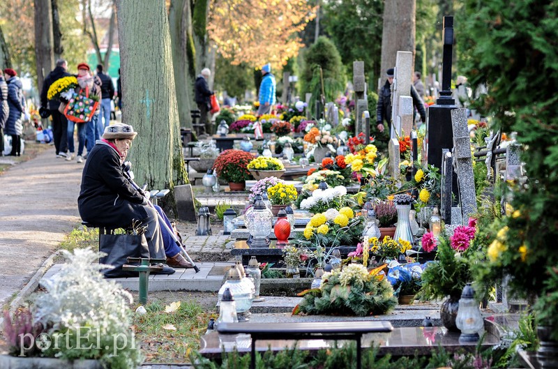 Cmentarz Agrykola, 31.10.2017 zdjęcie nr 163742