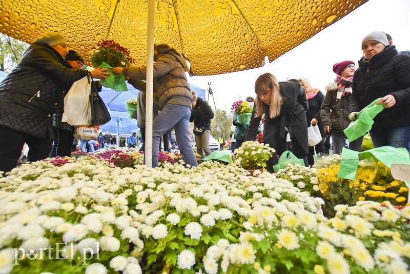 Elblążanie odwiedzają groby bliskich zdjęcie nr 163780
