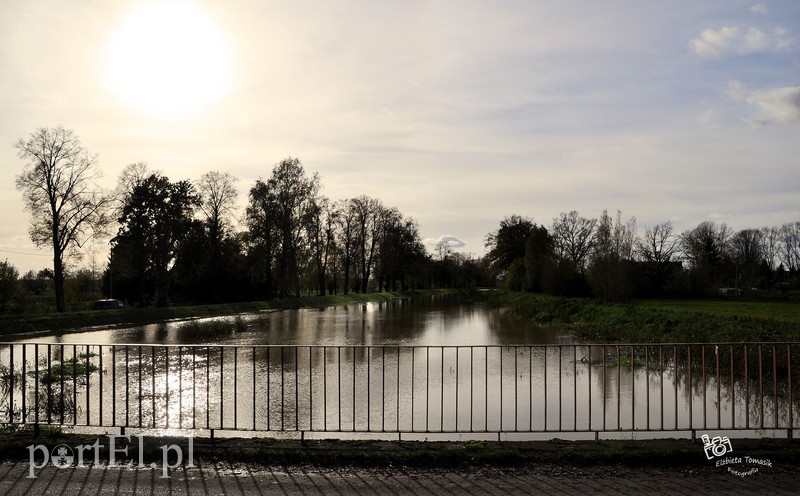 Wysoka woda na Żuławach zdjęcie nr 163797