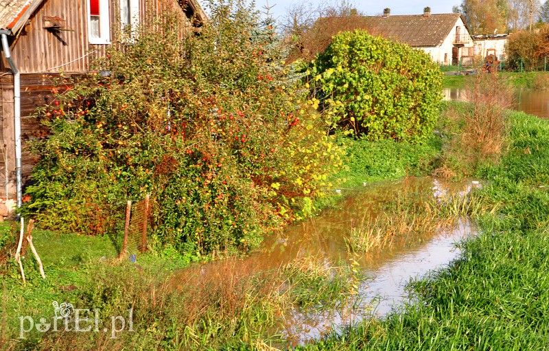 Wysoka woda na Żuławach zdjęcie nr 163804